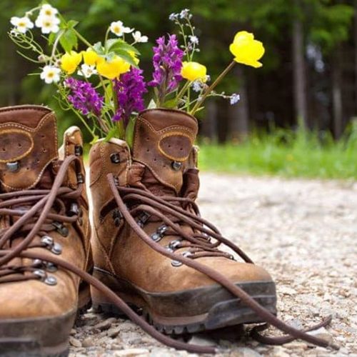 Boots met blomme